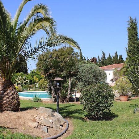 Casa Gecko Otel Vilajuiga Dış mekan fotoğraf