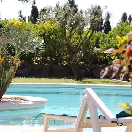 Casa Gecko Otel Vilajuiga Dış mekan fotoğraf
