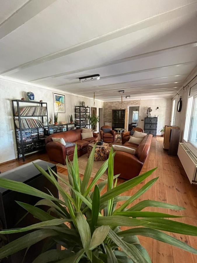 Casa Gecko Otel Vilajuiga Dış mekan fotoğraf