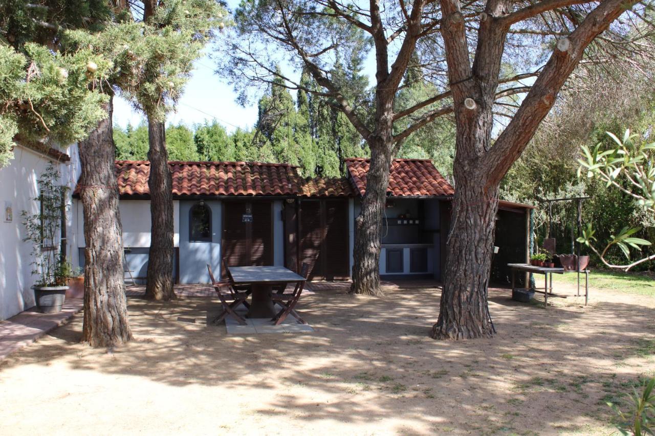 Casa Gecko Otel Vilajuiga Dış mekan fotoğraf