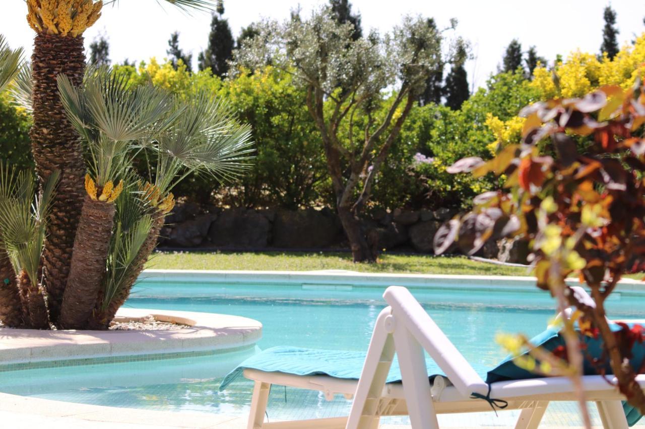 Casa Gecko Otel Vilajuiga Dış mekan fotoğraf