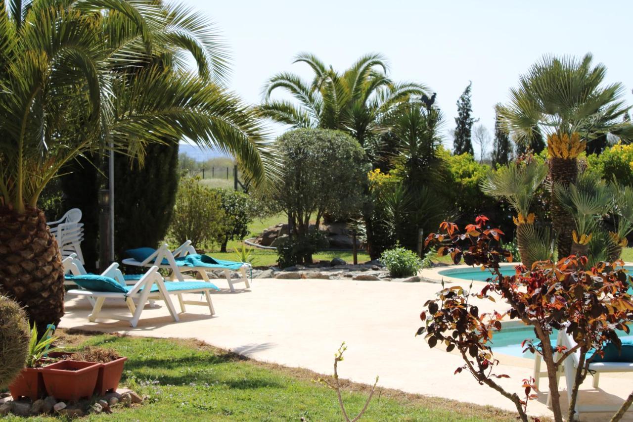 Casa Gecko Otel Vilajuiga Dış mekan fotoğraf