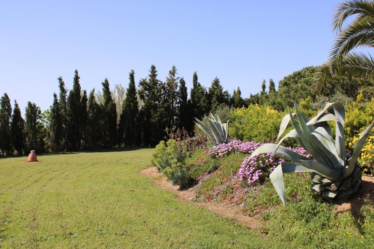 Casa Gecko Otel Vilajuiga Dış mekan fotoğraf